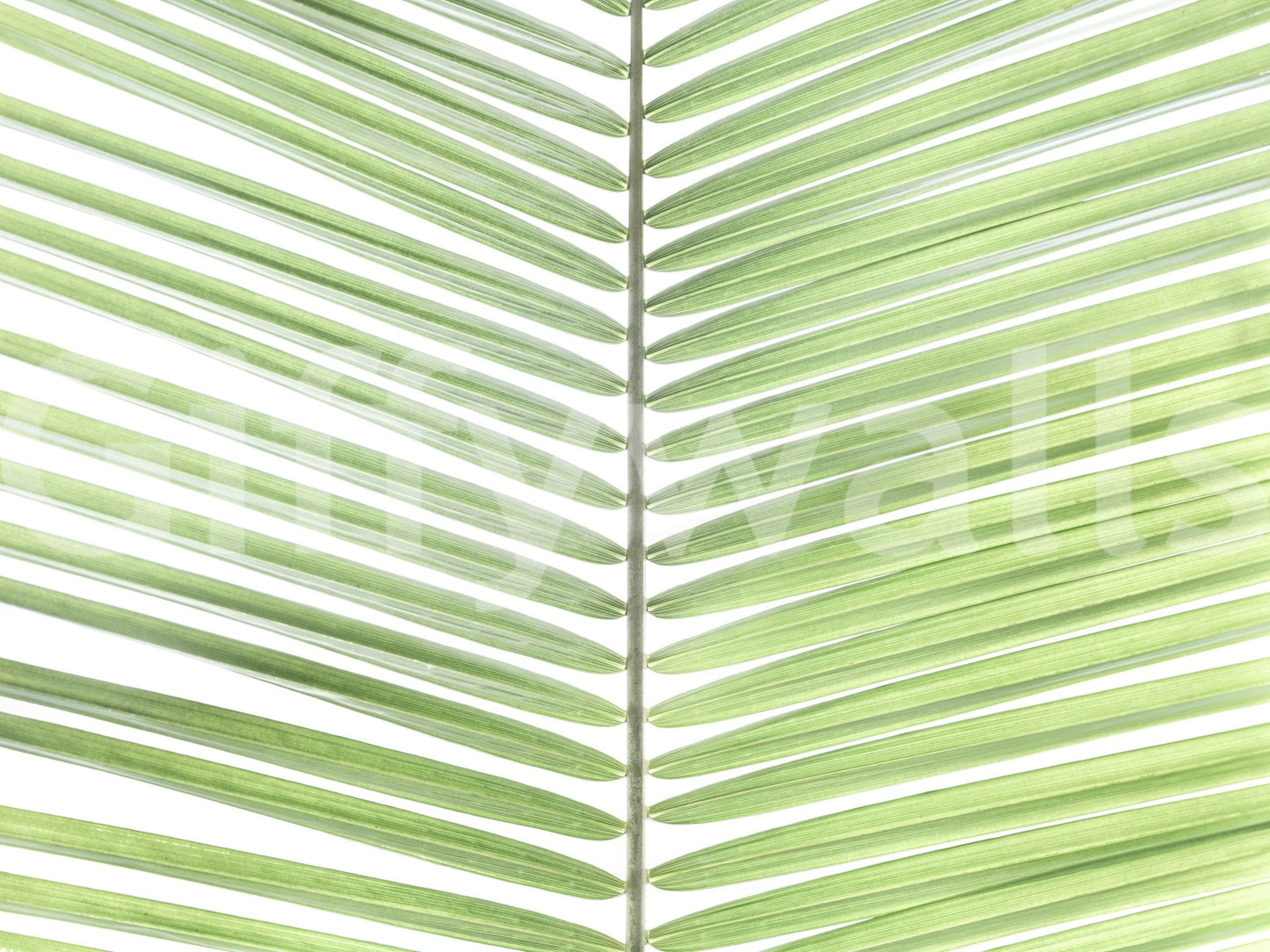 Tropical greenery mural for modern interiors