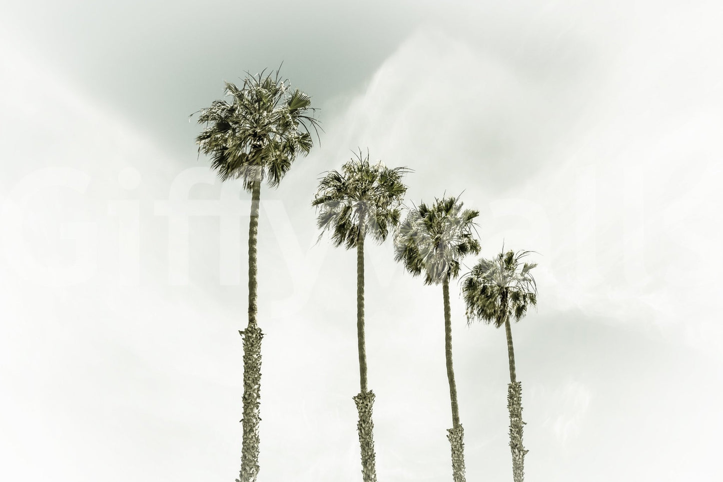 Coastal vintage mural with faded sunset and palm trees