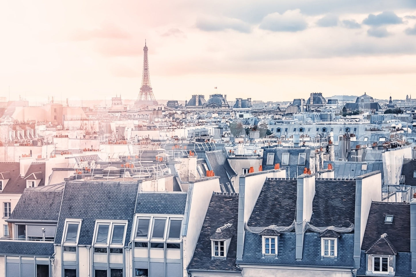 Iconic Eiffel Tower backdrop Paris interior wallcovering