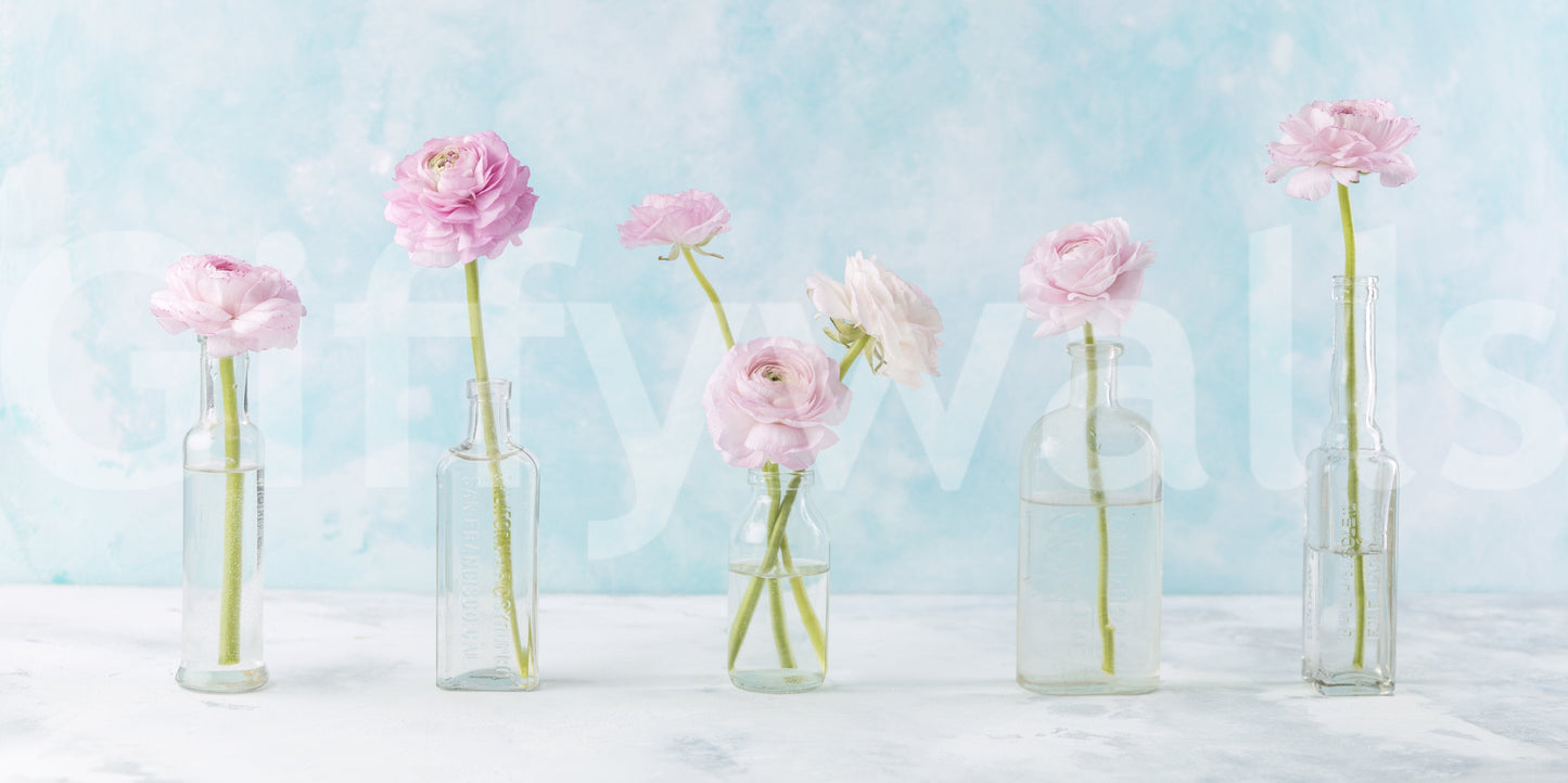 Pastel Ranunculus Glass Decor Wall Mural
