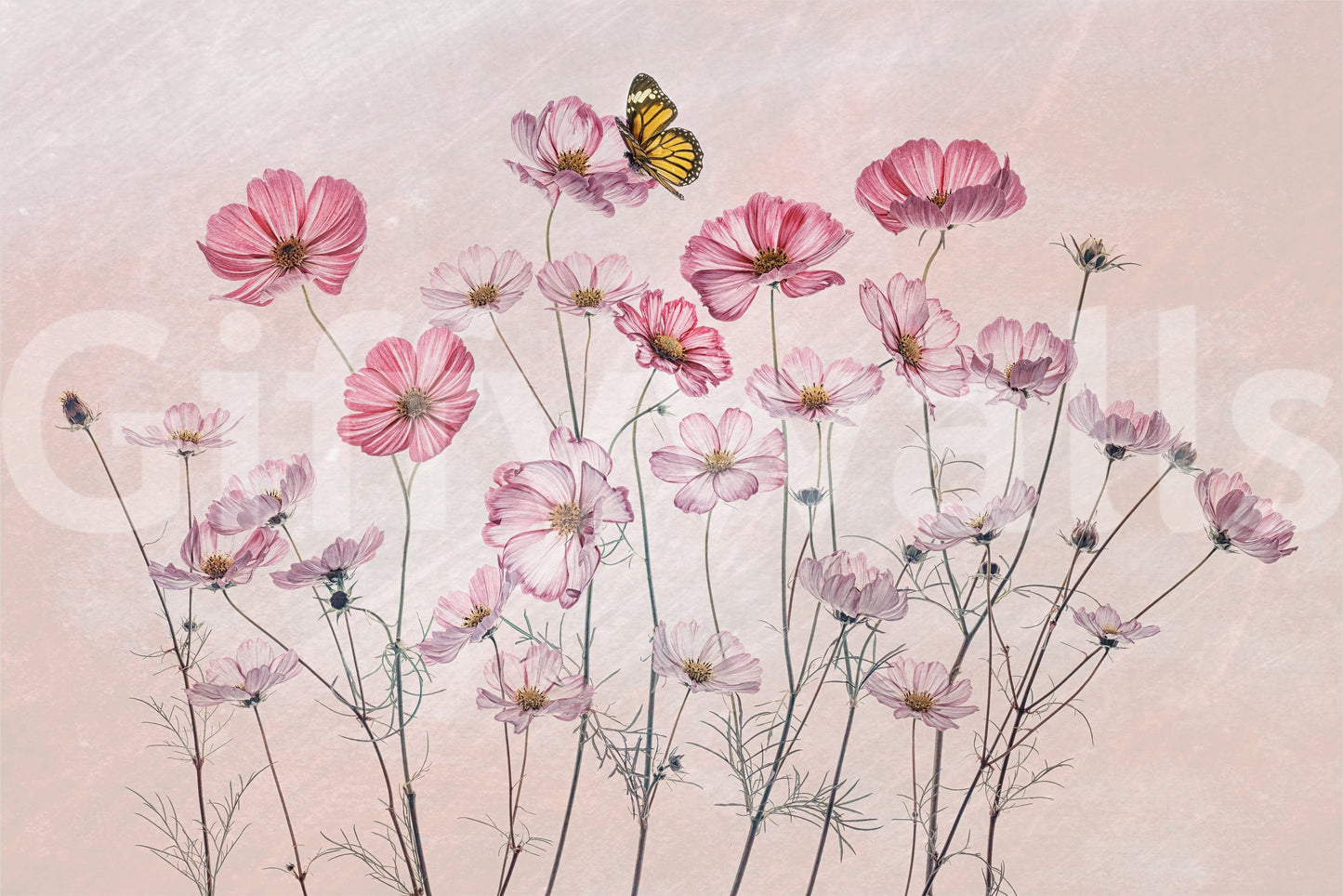 A high-quality abstract print wall mural for walls.