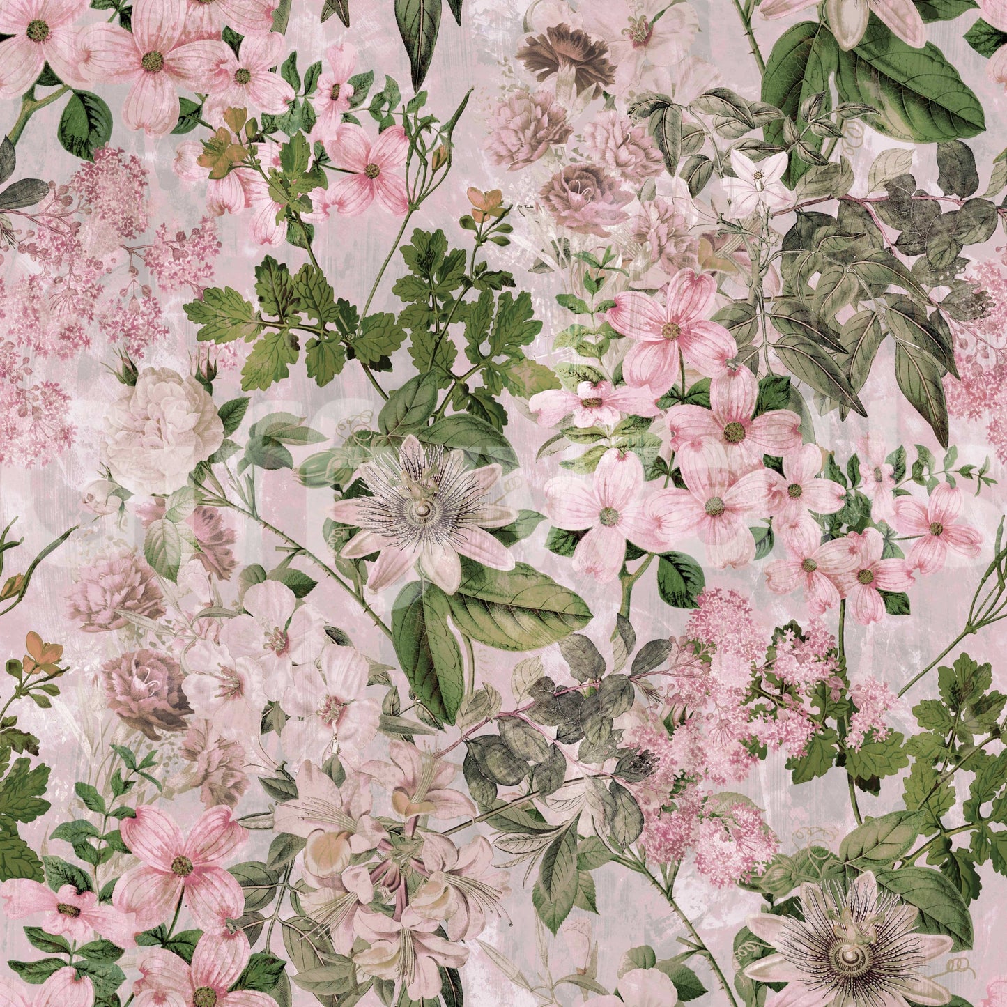 A seamless pattern of blossoms on a wall