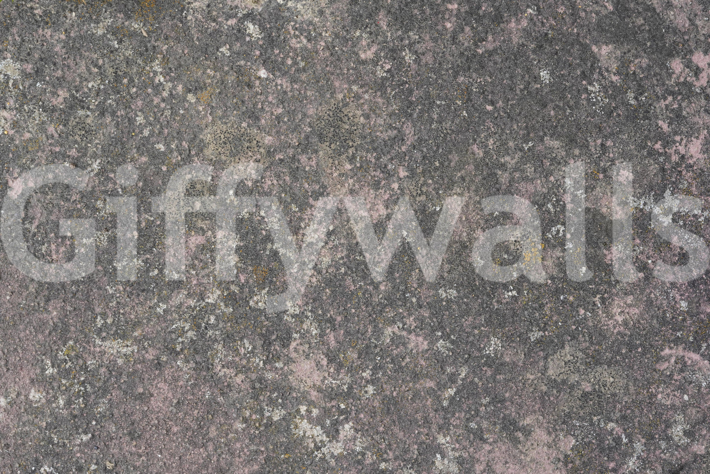 Whispers of Pink Stone Wall Mural -2566600