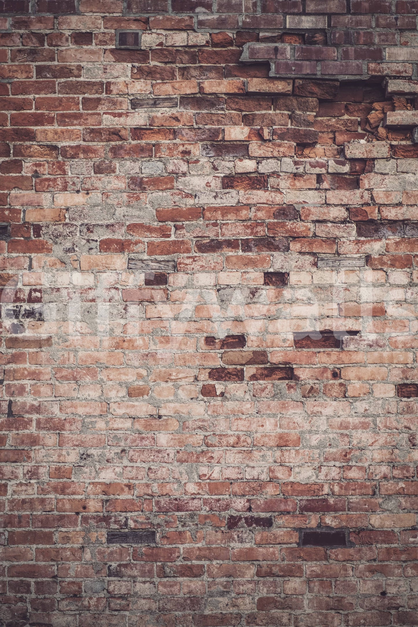 Urban Loft Texture Wall Mural -2226438