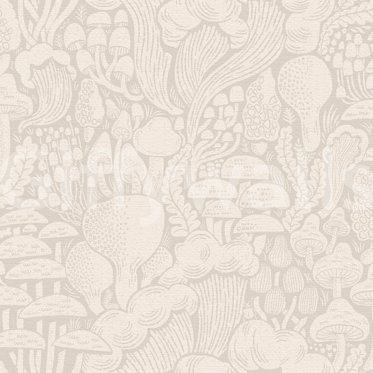 Sand Fungi Forest Silhouettes Wallpaper