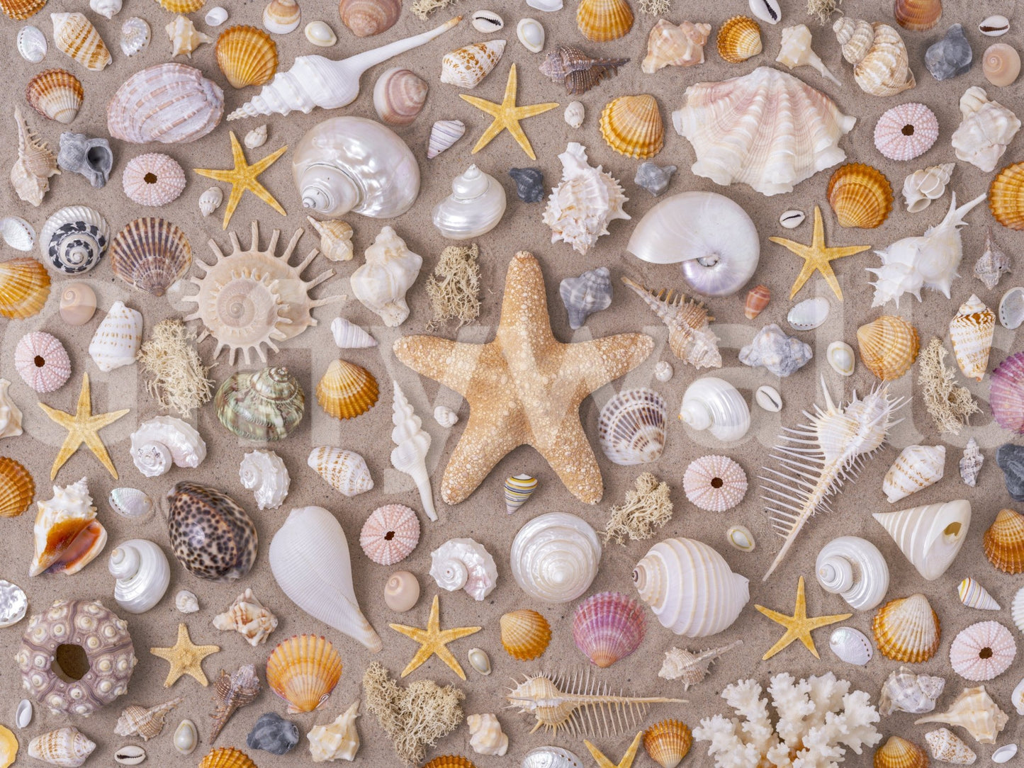 Evokes a feeling of wonder and serene delight.