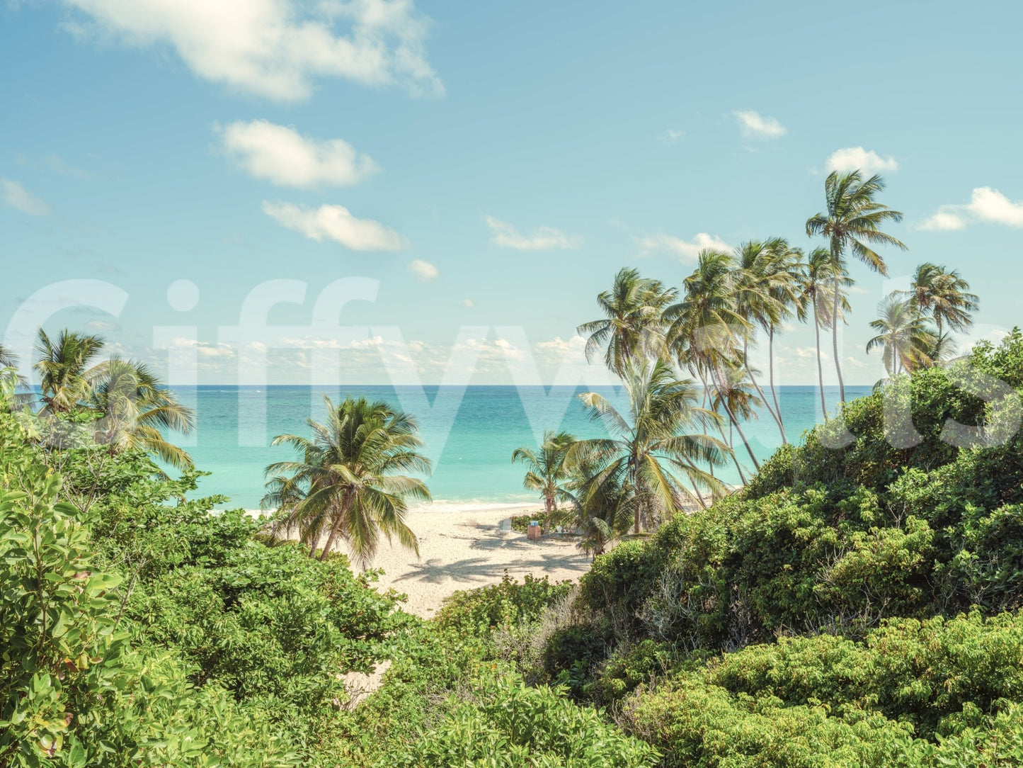 Nature-inspired tropical coastal beach vista for wall decoration