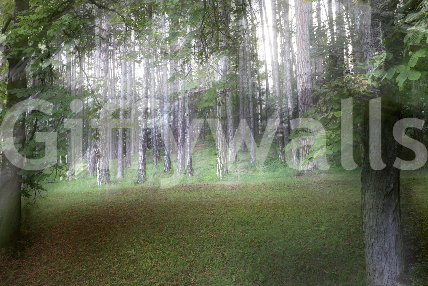 An expansive view of natural beauty