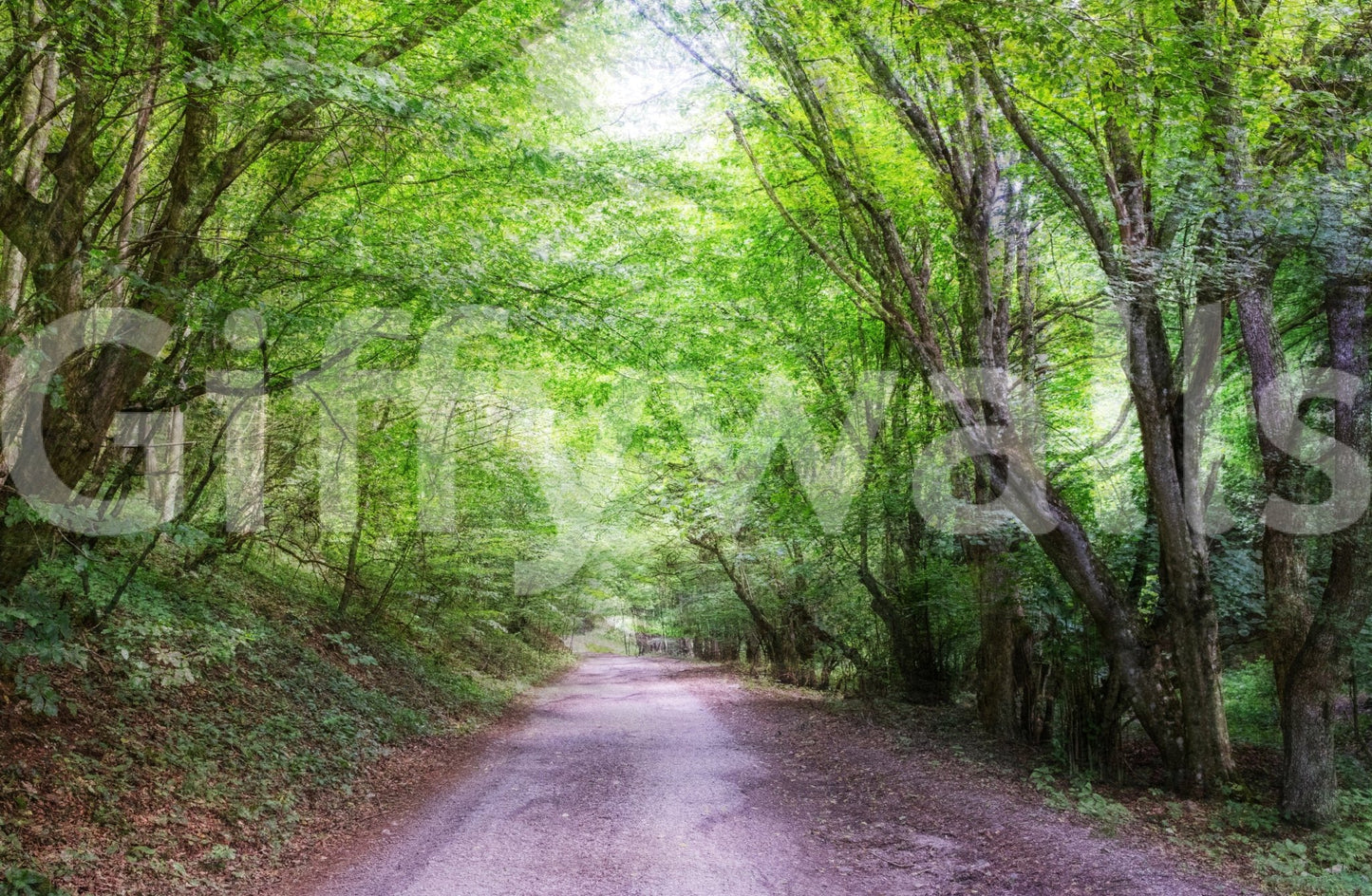 Lush green landscape wallpaper