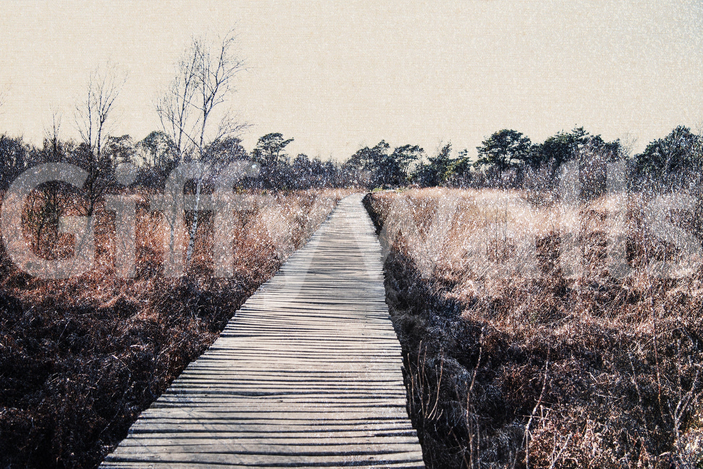 Artistic trail scene wallpaper that adds depth to a small apartment hallway.