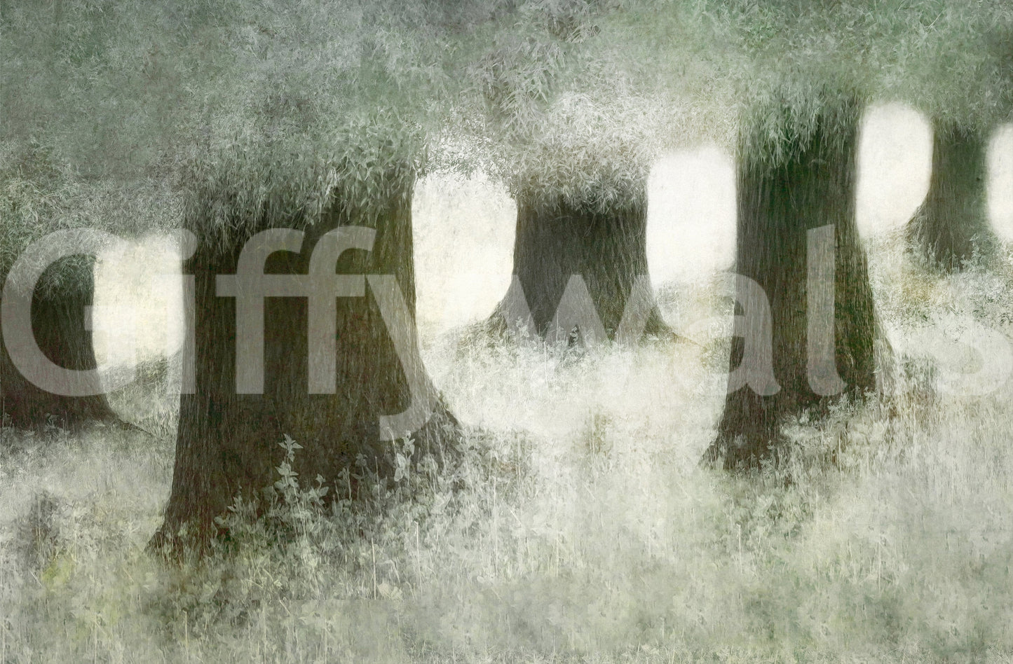 Silent Canopy Wall Mural -2113402