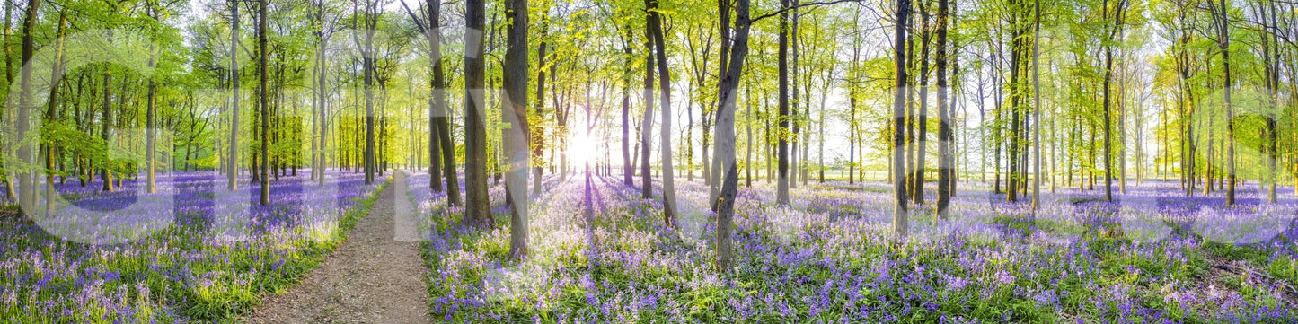 The wallpaper features a subtle, calming pattern.