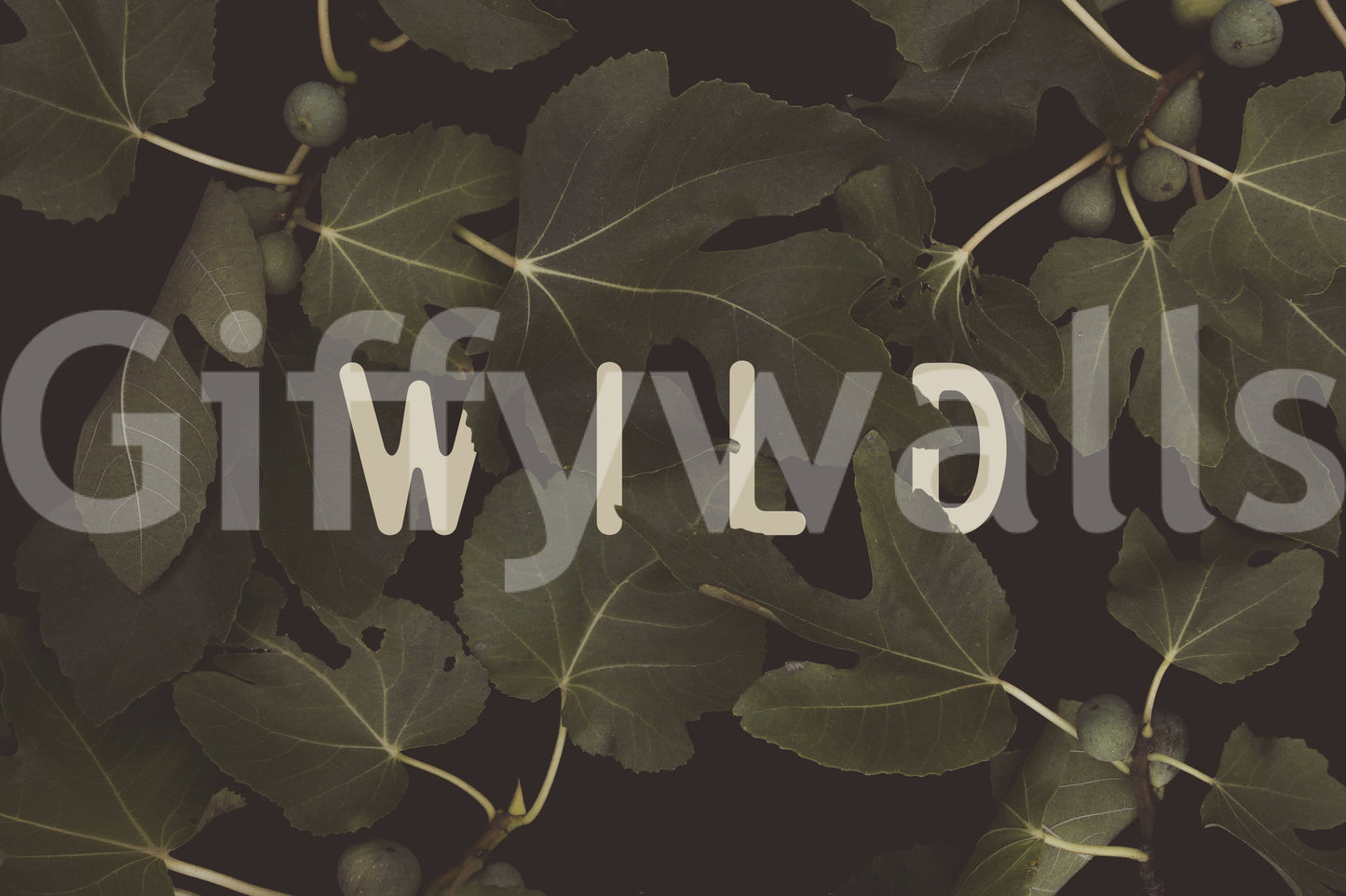 Fig Leaves: Stay Wild Wall Mural -2489734