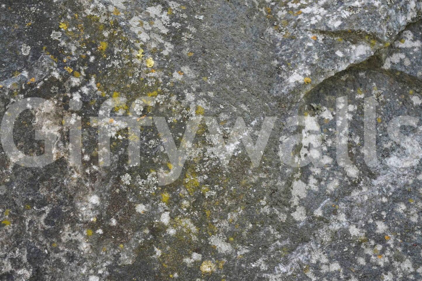 Stone Texture Wall Mural — natural stone surface design bringing organic elegance to any space.