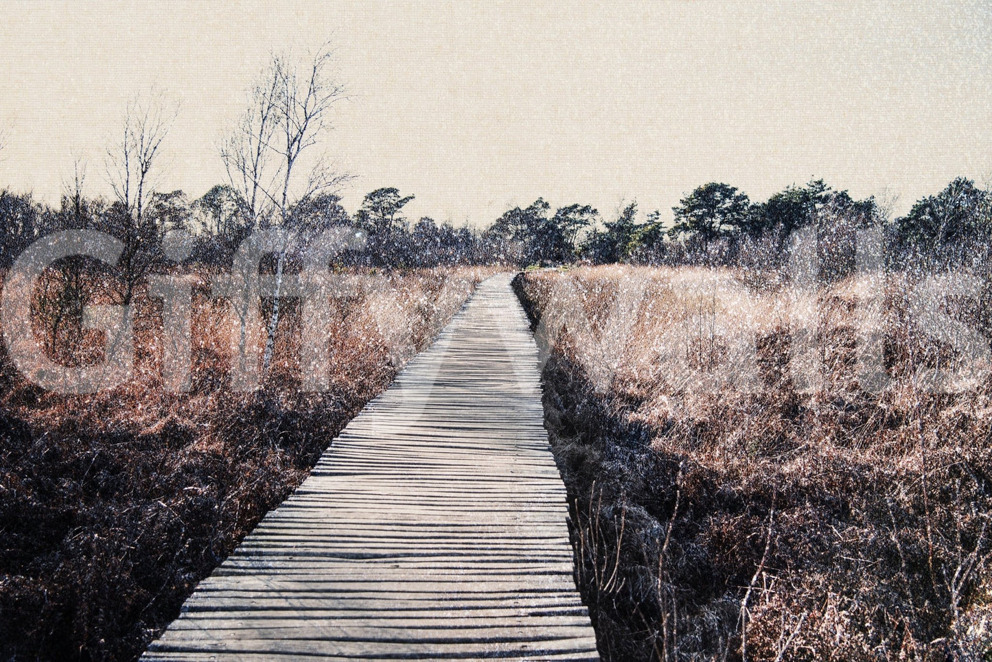 Artistic trail scene wallpaper that adds depth to a small apartment hallway.
