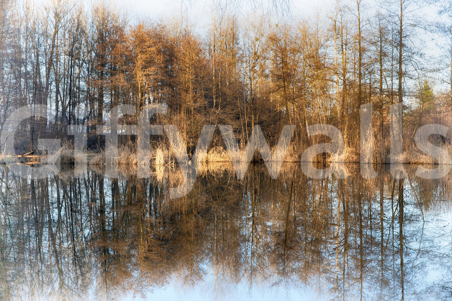 Autumn tree mirror image wallpaper