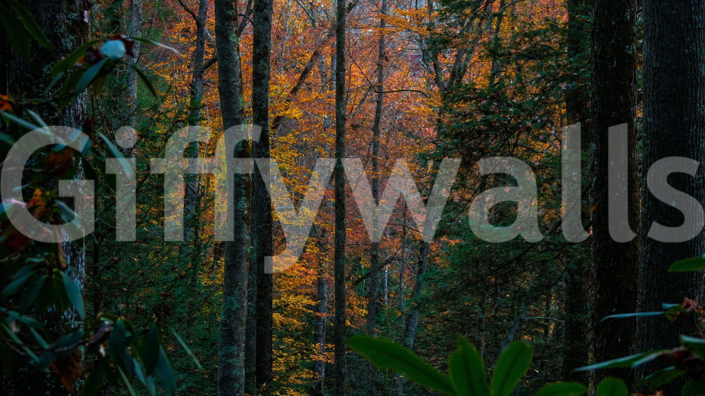 A high-quality minimalist tree wall mural for walls.