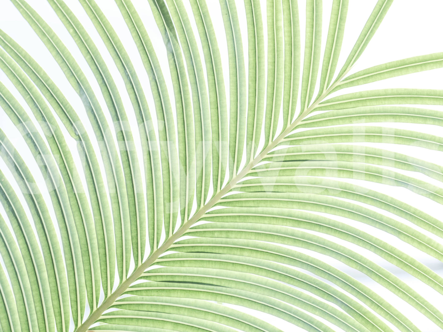 A detail of the organic lines and shadows in the design.