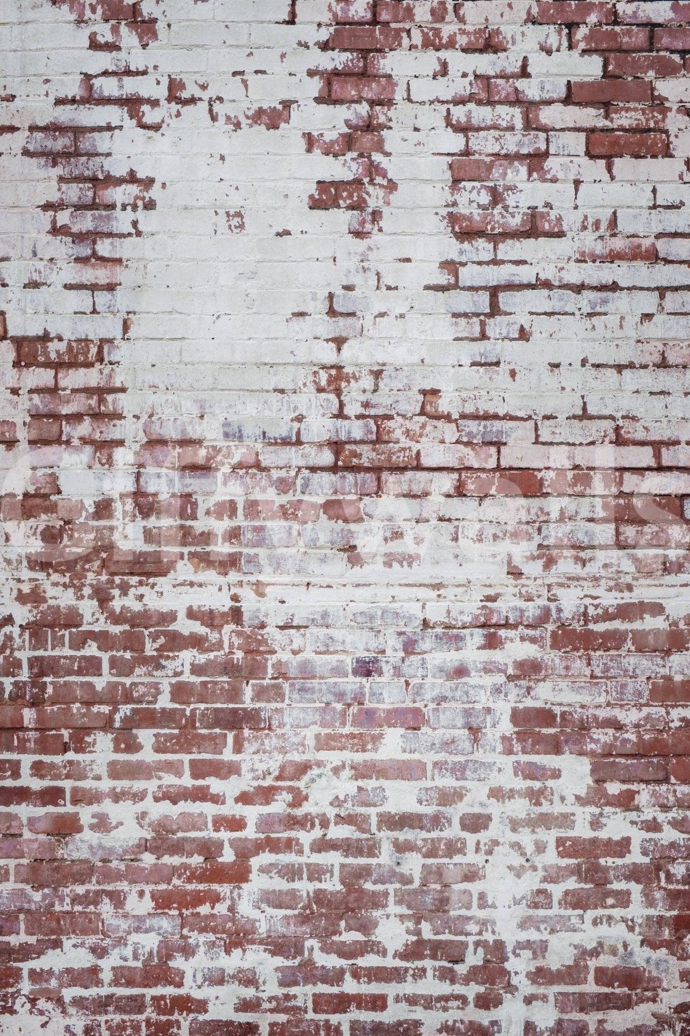 Urban Decay Brick Wall Mural -2226413