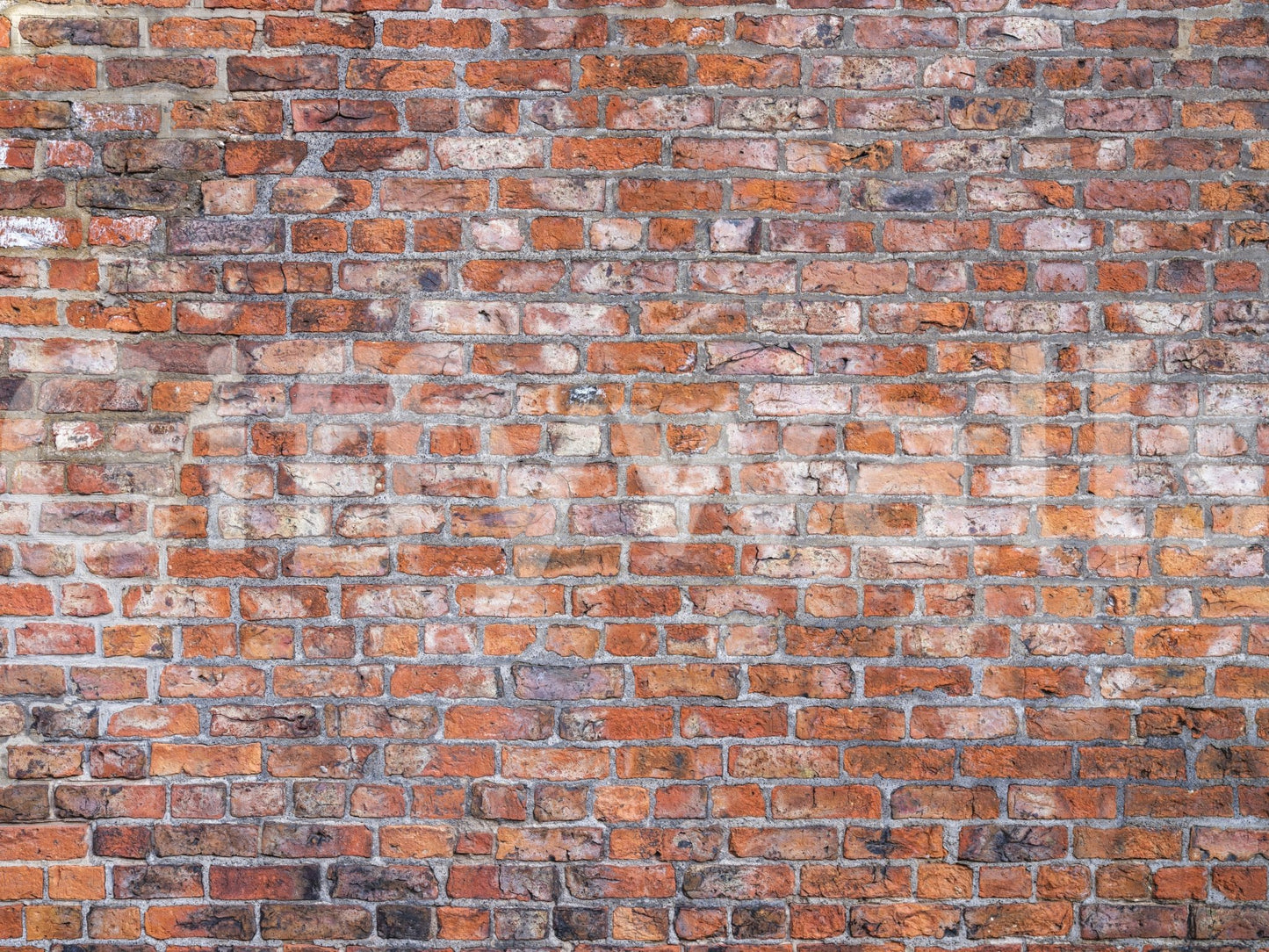 Charming brickwork wall mural with vintage appeal