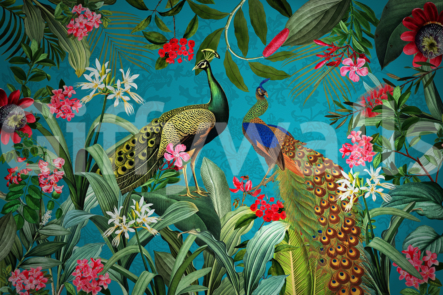 Breathtaking peacock wallpaper for modern or vintage spaces