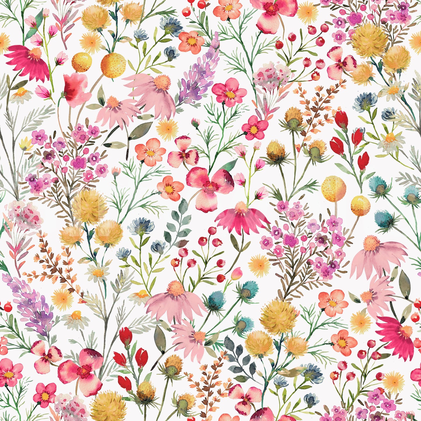 Delicate Botanical Dry Flowers Wallpaper