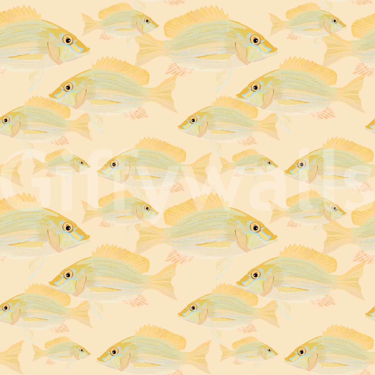 Sand Bream - The Fish Wall Mural