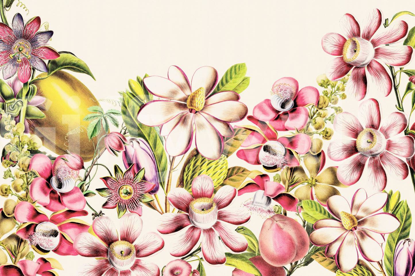 Botanical wallpaper with vintage charm