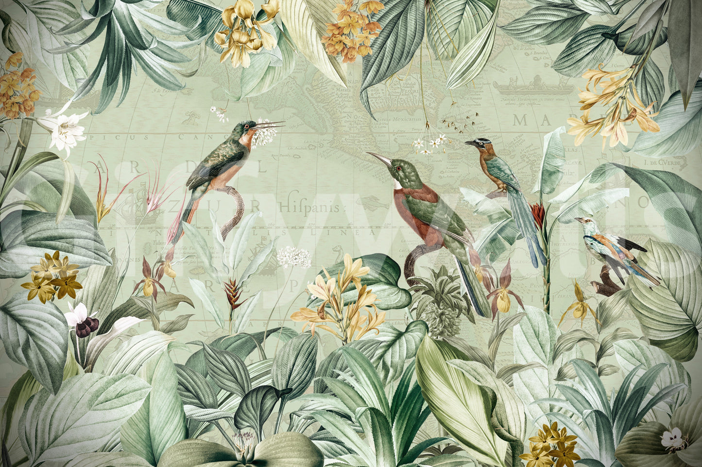 Tropical expedition wallpaper for living rooms