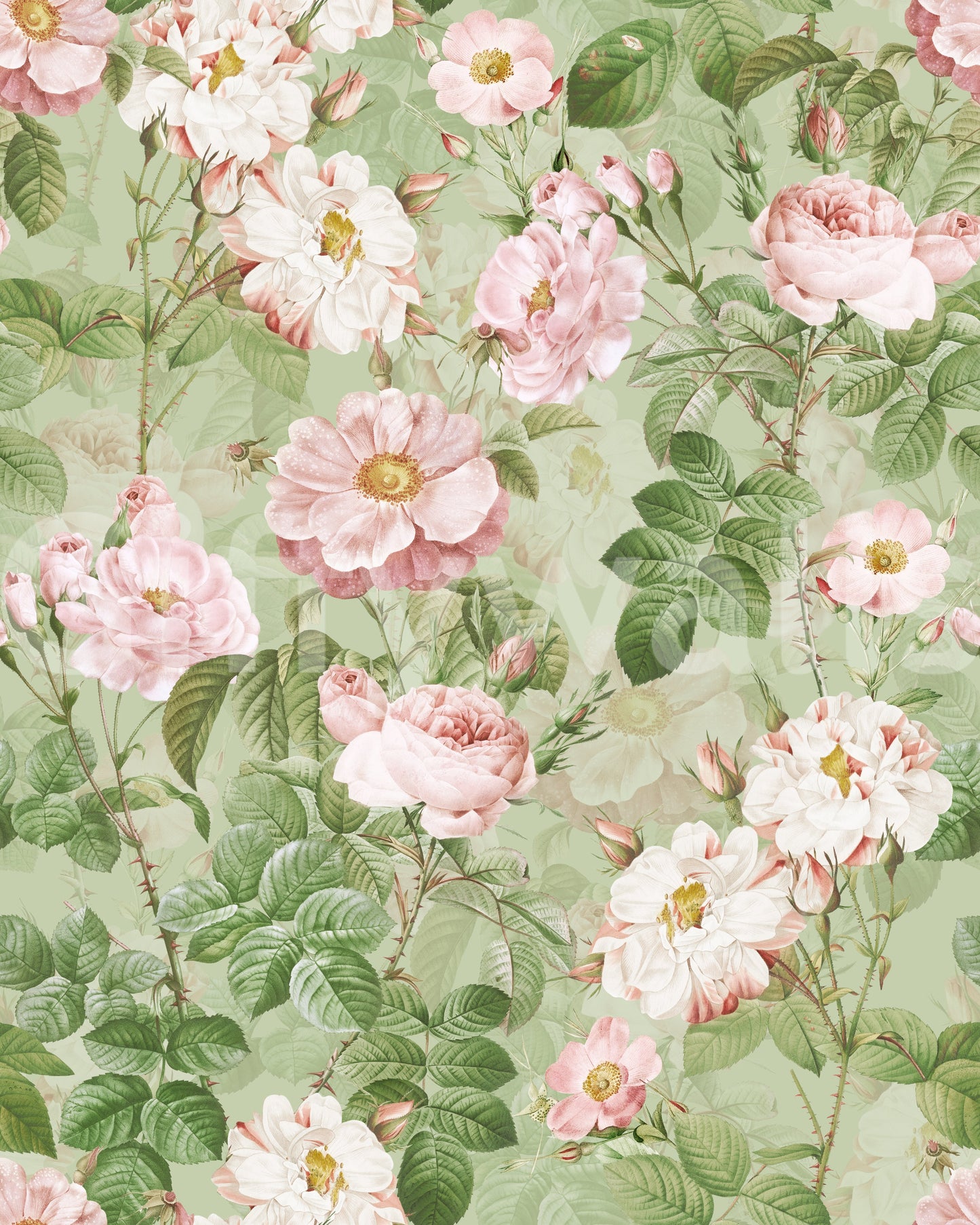 Romantic rose garden wallpaper for feature walls