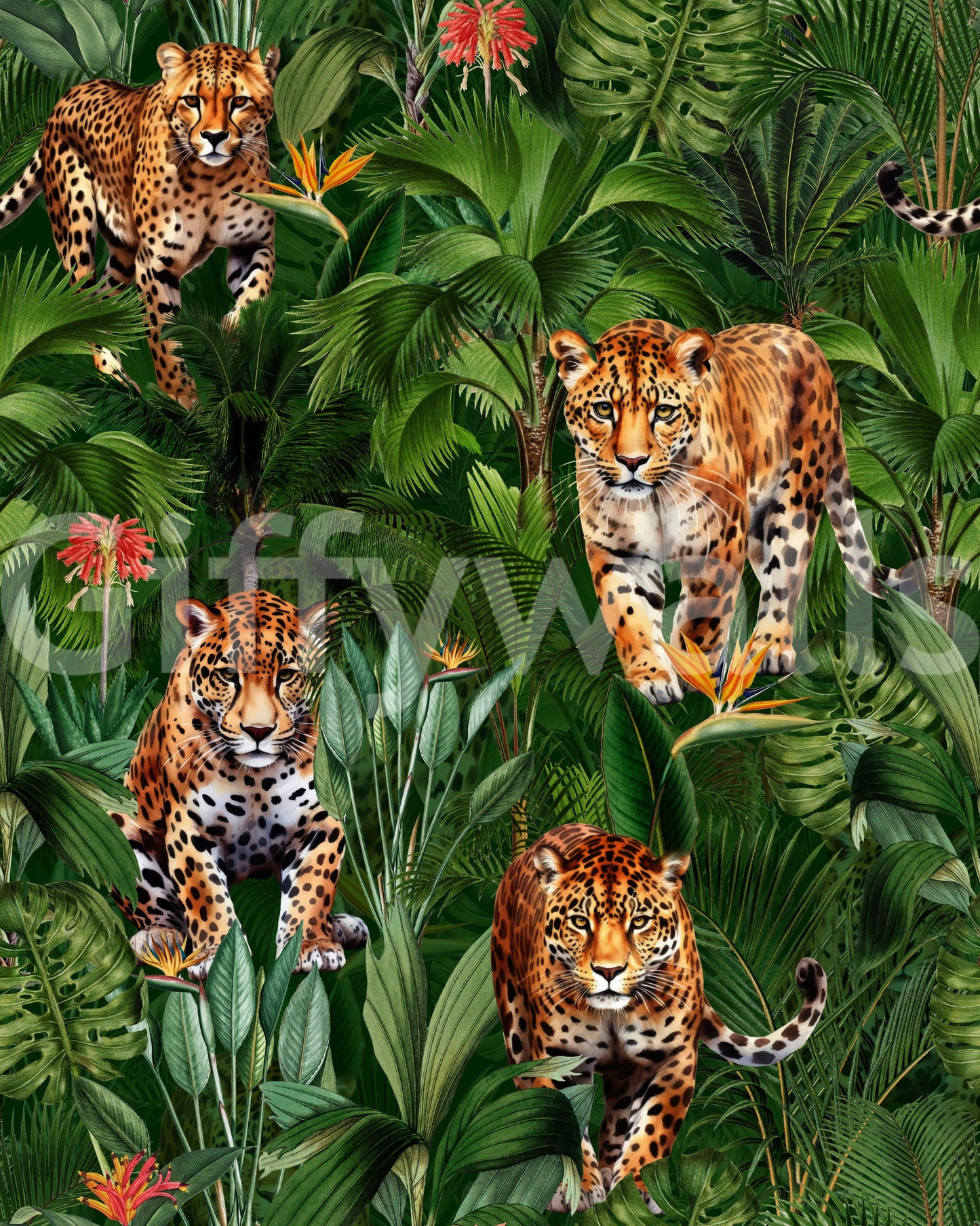 Fierce and vibrant wallpaper with big cats roaming through the jungle