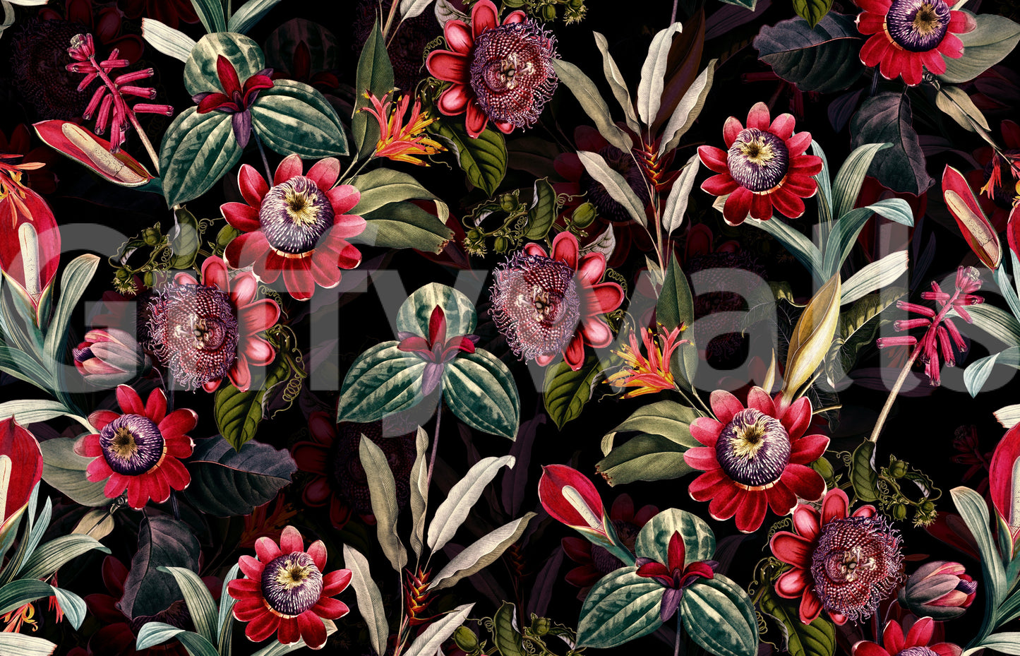 Dark and moody wallpaper with vibrant floral accents.
