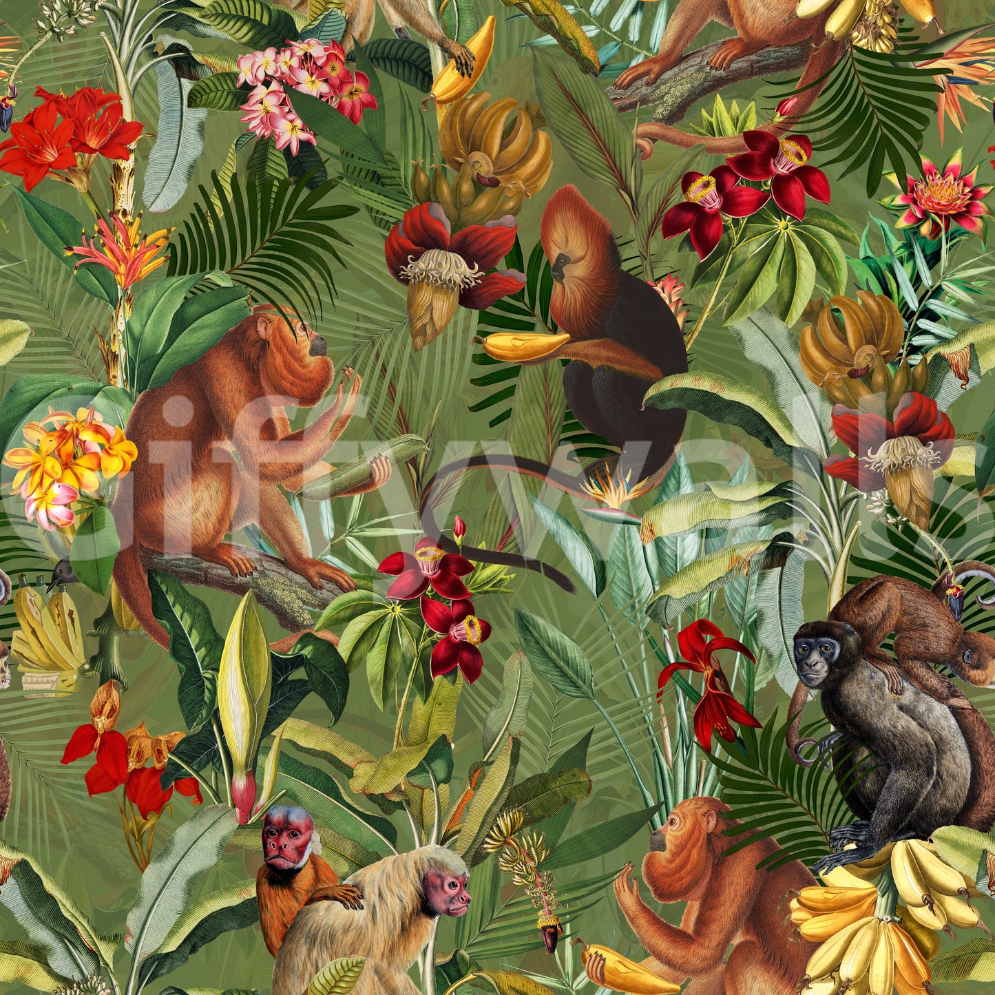 Vibrant jungle wallpaper mural with detailed foliage and wildlife.