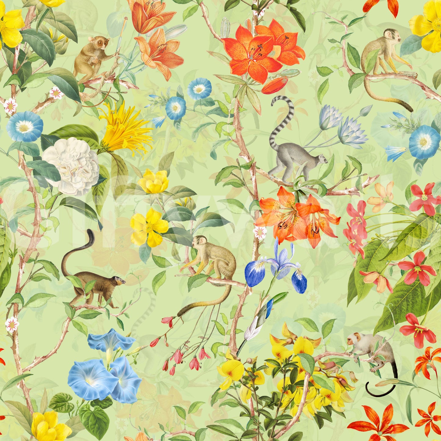 Lush jungle wallpaper with tropical flowers and flourishing plants.
