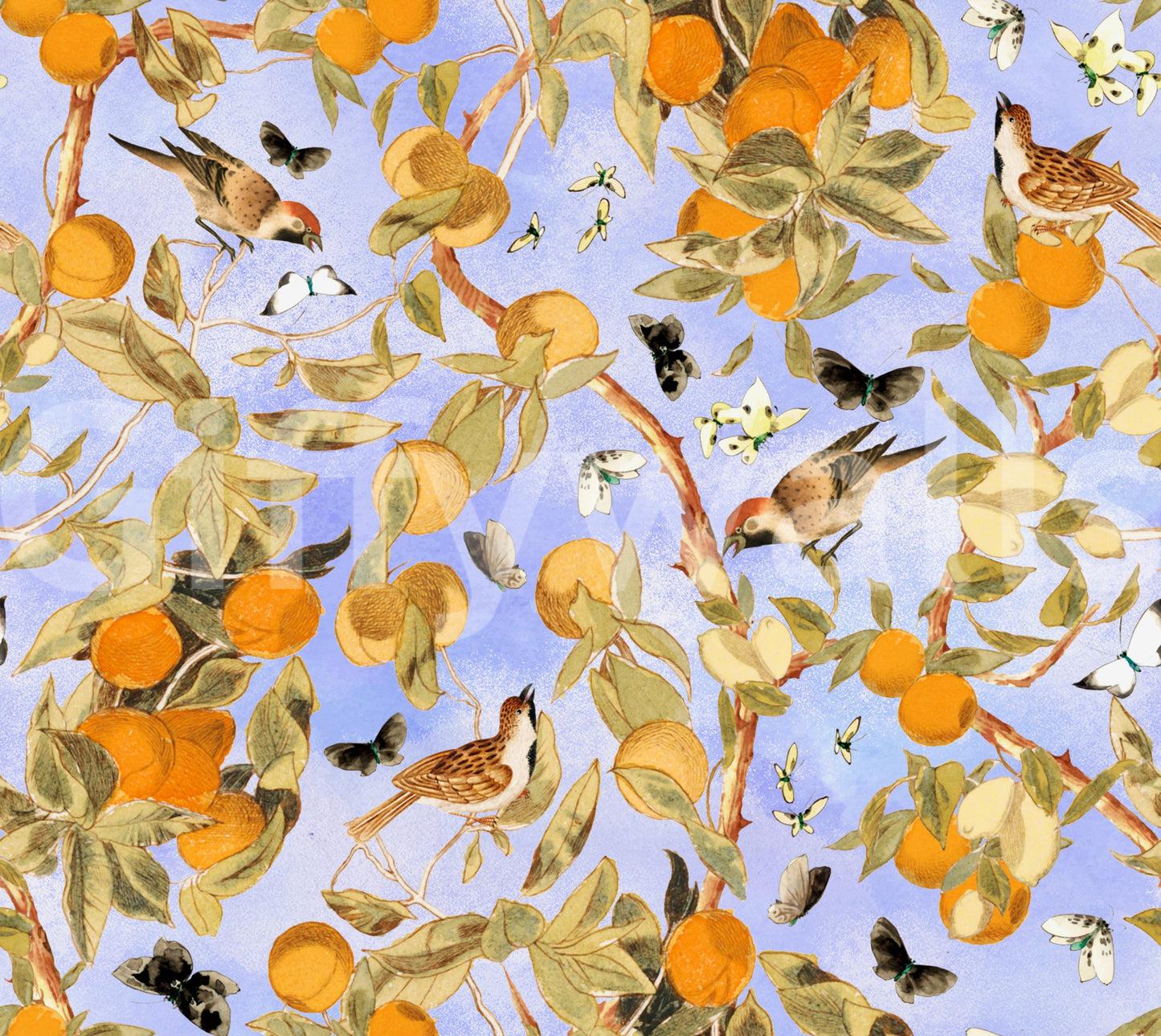 Fresh fruit and flower wallpaper on a light, neutral background.