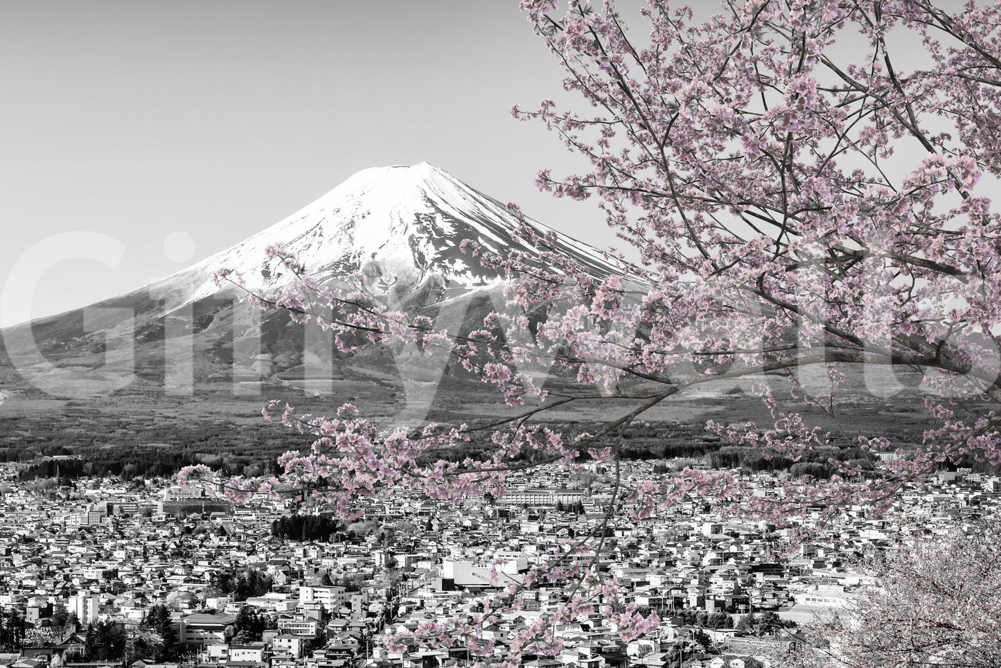 Landscape mural with pink florals and grayscale backdrop
