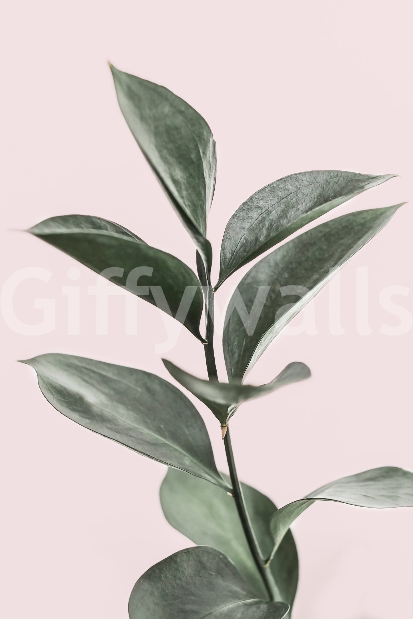 Neutral room with calming pink and green wallpaper