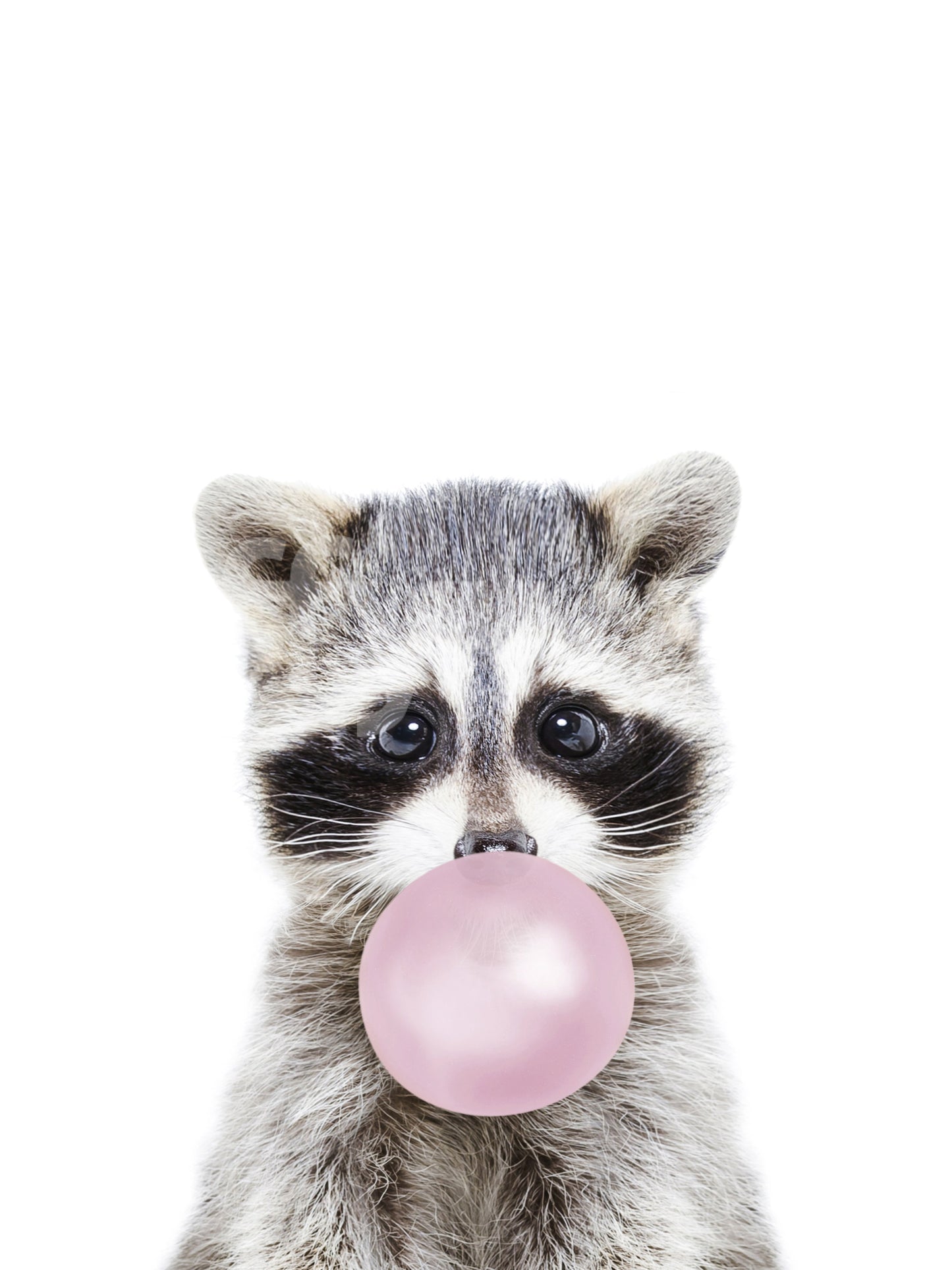 Playful bubble gum raccoon design mural for a quirky home decor.