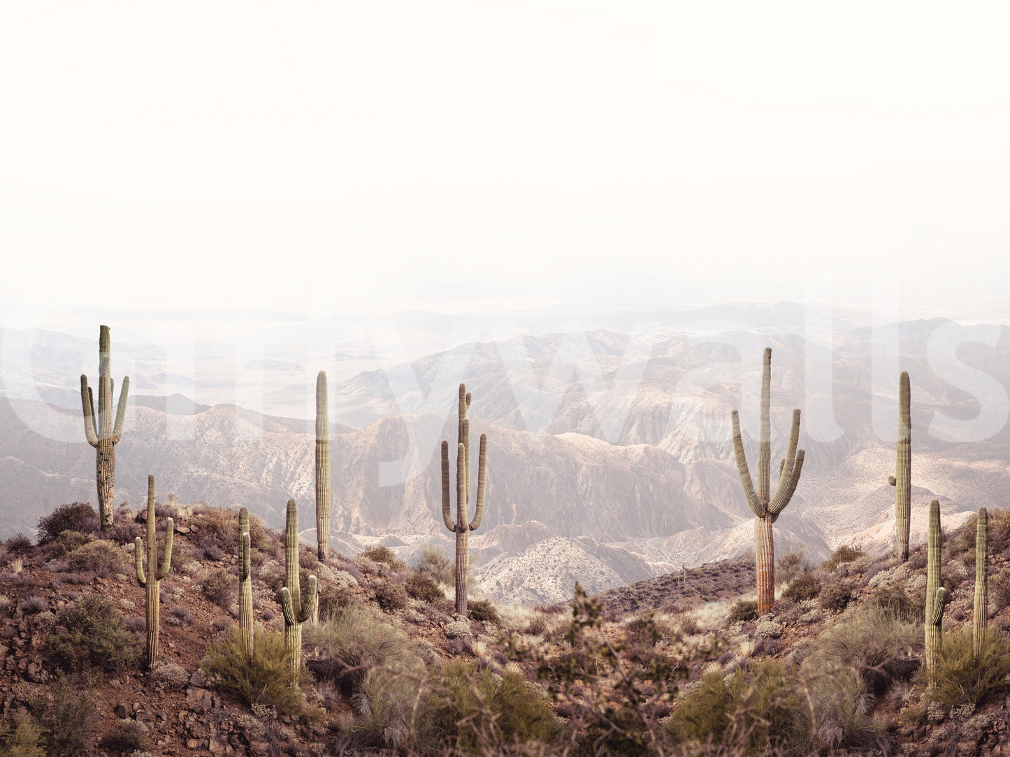 Beautiful desert vista mural perfect for creating a serene, peaceful room.