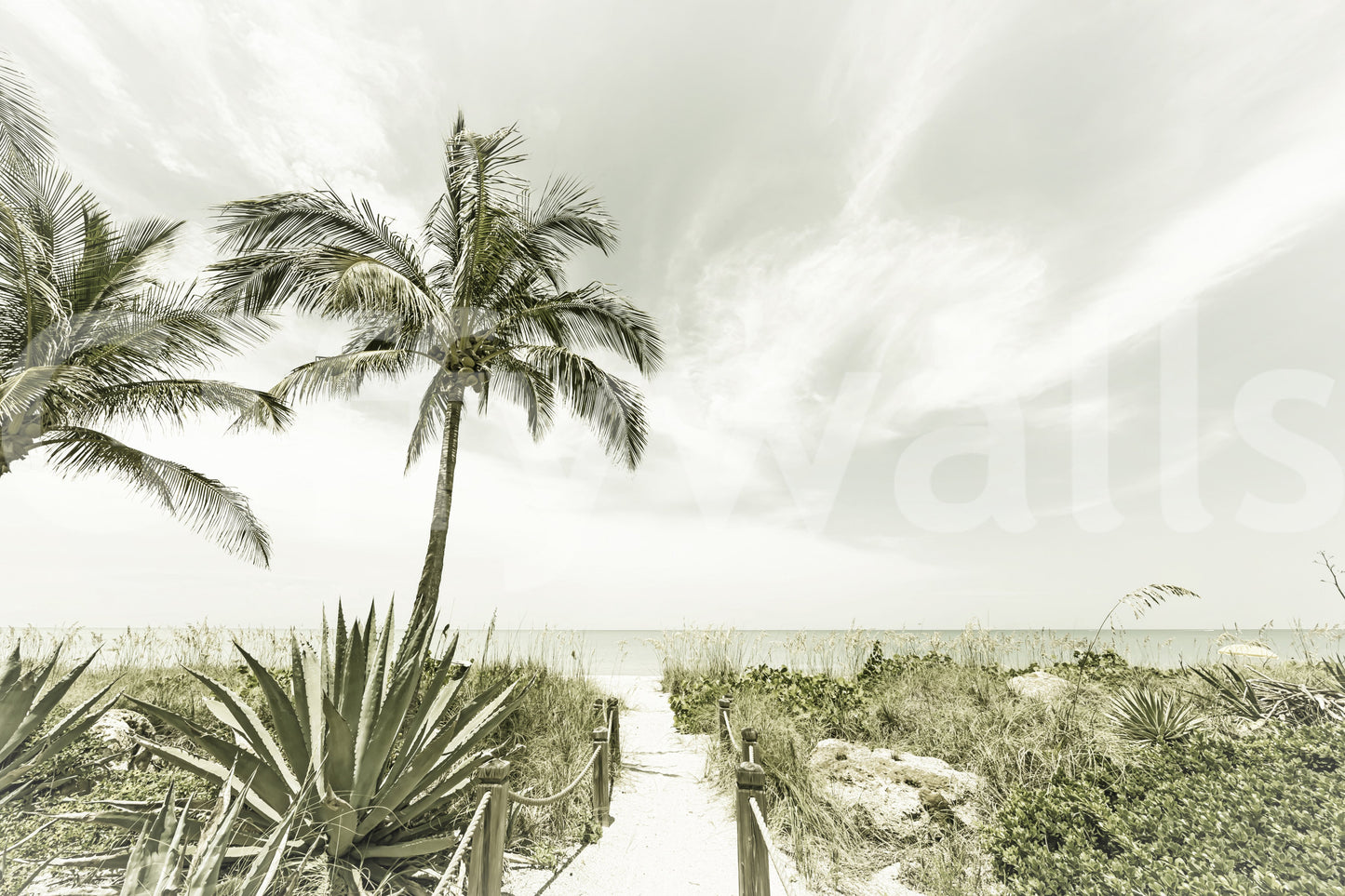 Alone at the Beach wall mural with calming coastal scenery