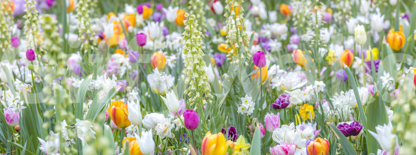 Perfect for creating a serene atmosphere