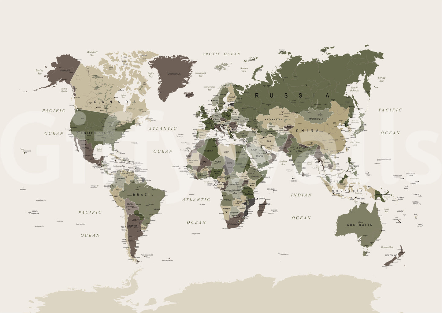 Vintage map wall mural in green