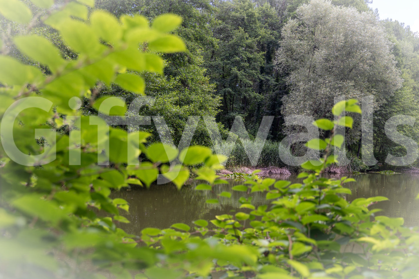 An expansive view of natural beauty