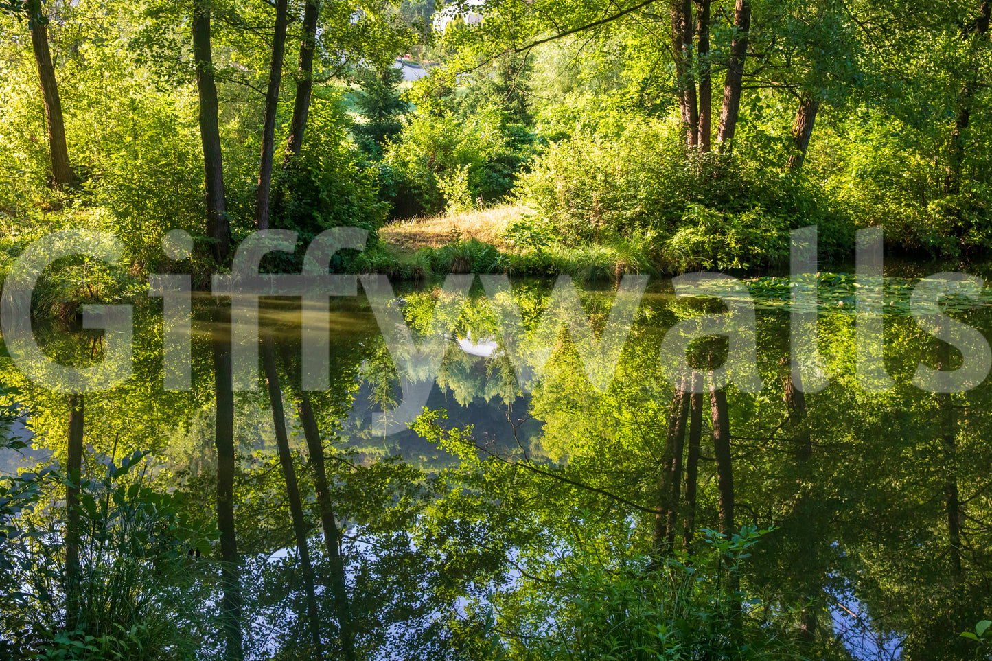 Tranquil Nature Reflection Art Print - Serene Water and Greenery Scene Wall Mural