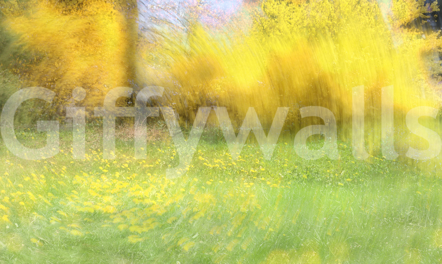 Golden Meadow Abstract Art - Vibrant Nature Landscape Print Wall Mural