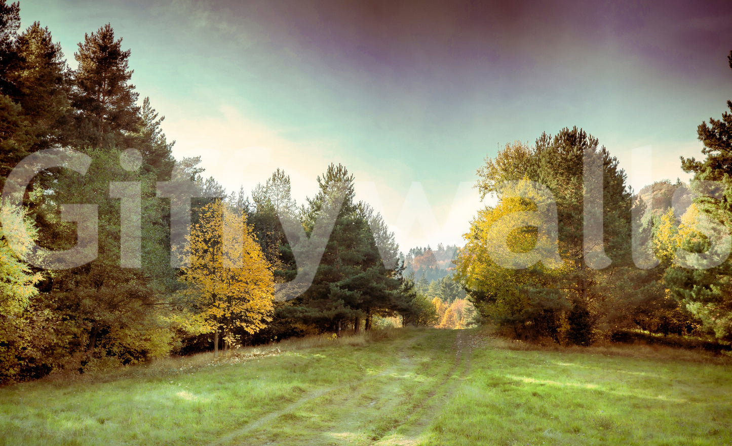 The Serene Autumn mural gives the room a quiet, natural feel.