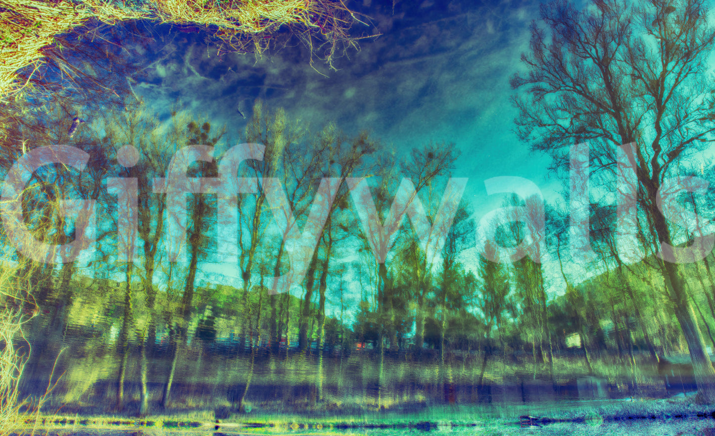 Serene outdoor scene wallpaper