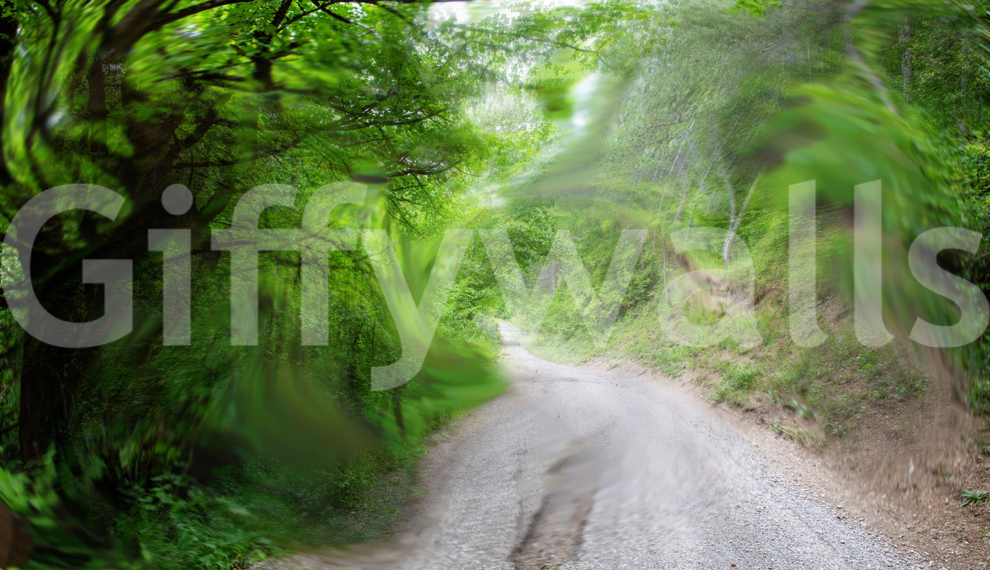 Still green pathway wall art