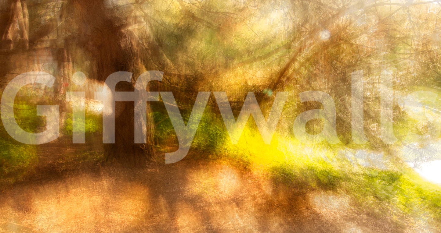 Organic blurred forest wallpaper