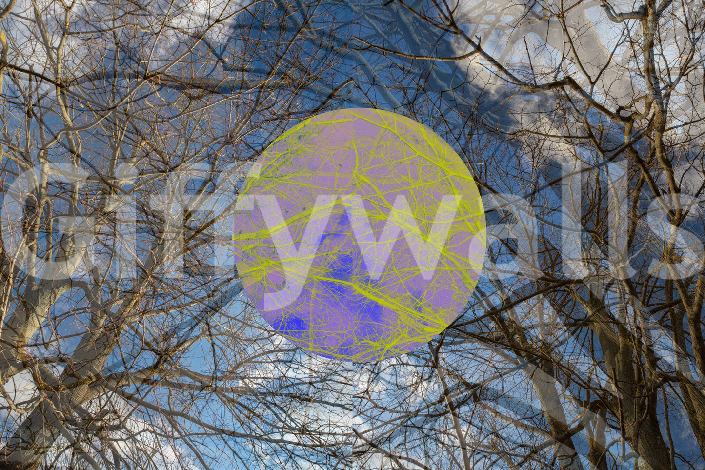 Artistic wall mural for home decor